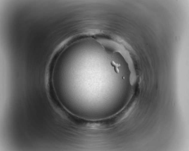 X0000099570440200805231534
