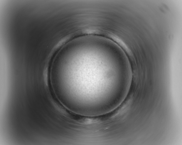 X0000099570442200805231534