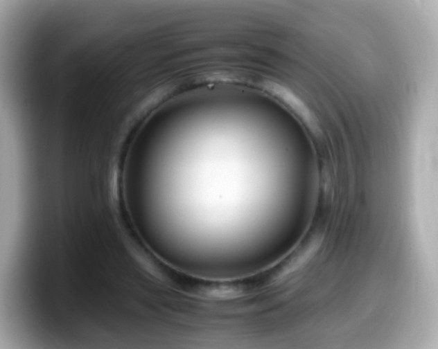 X0000099570445200805231534