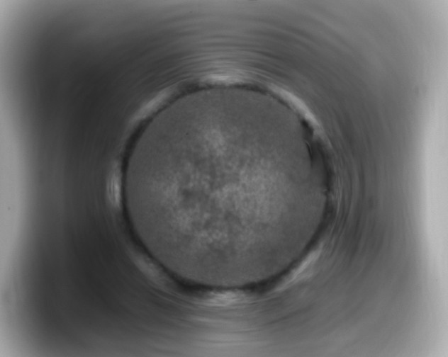X0000099570446200805231534