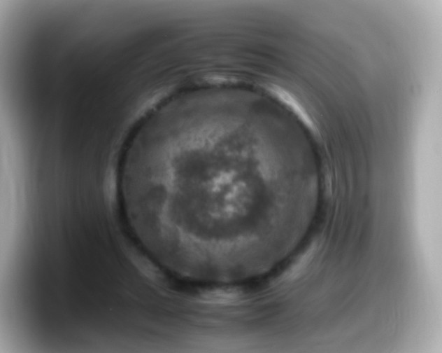 X0000099570447200805231534