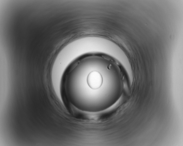 X0000099570448200805231534