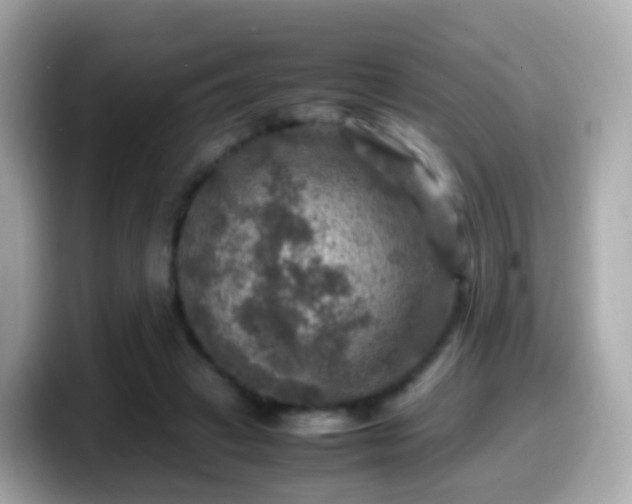 X0000099570449200805231534