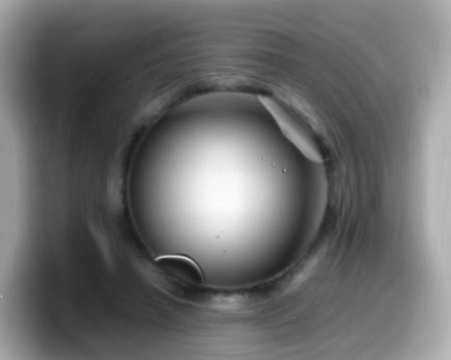 X0000099570450200805231534
