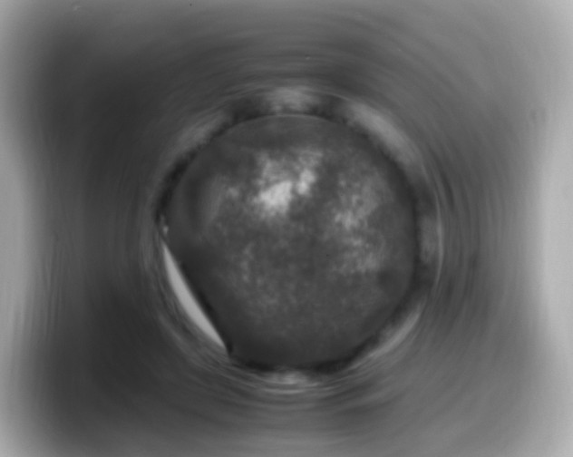 X0000099570451200805231534