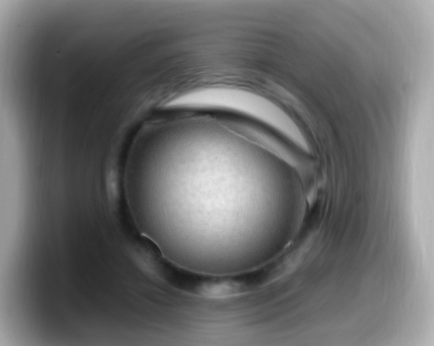 X0000099570452200805231534