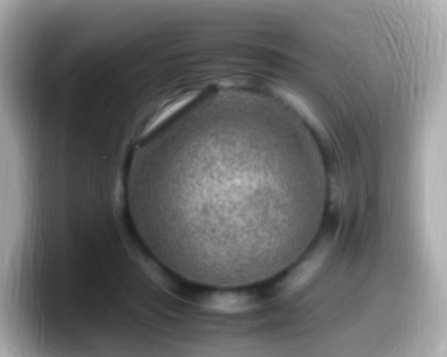 X0000099570453200805231534
