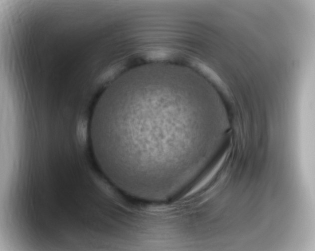 X0000099570454200805231534