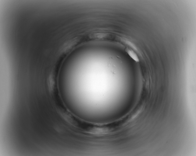 X0000099570455200805231534