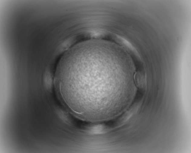 X0000099570456200805231534