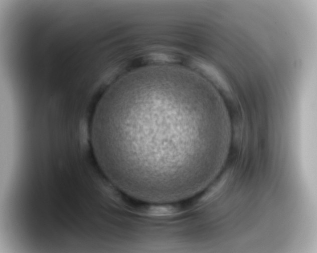 X0000099570457200805231534