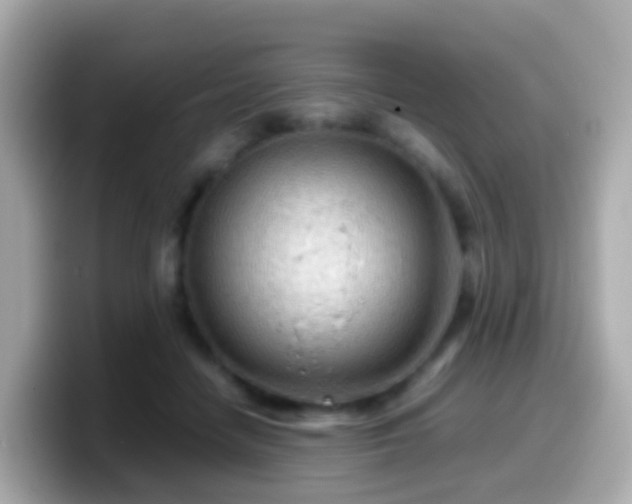 X0000099570458200805231534