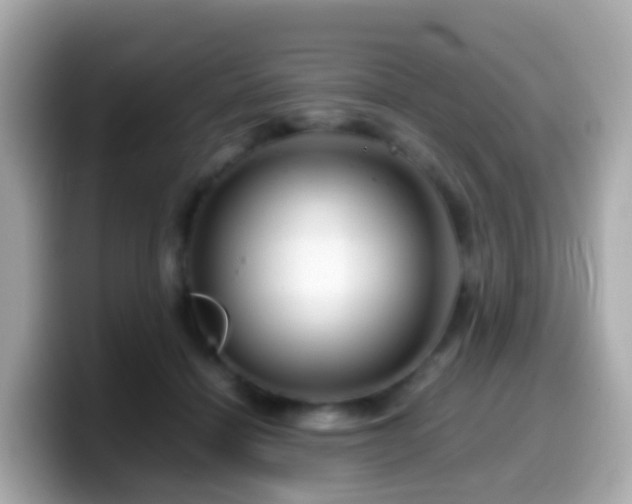 X0000099570460200805231535