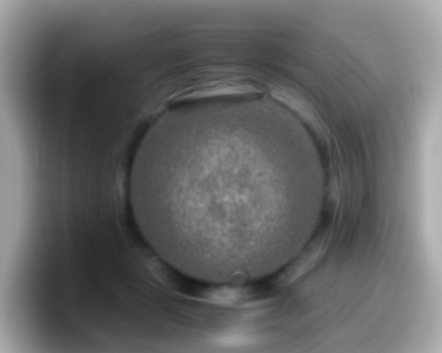 X0000099570461200805231535