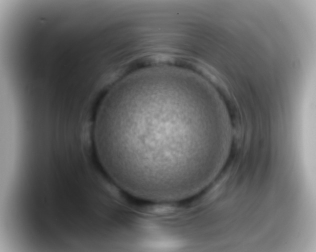 X0000099570462200805231535