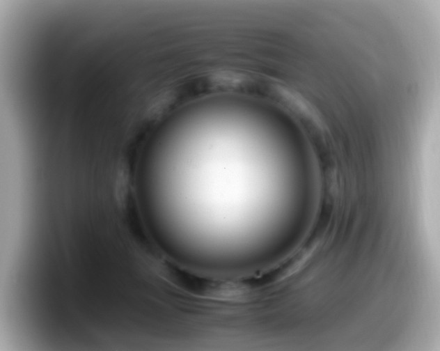 X0000099570463200805231535