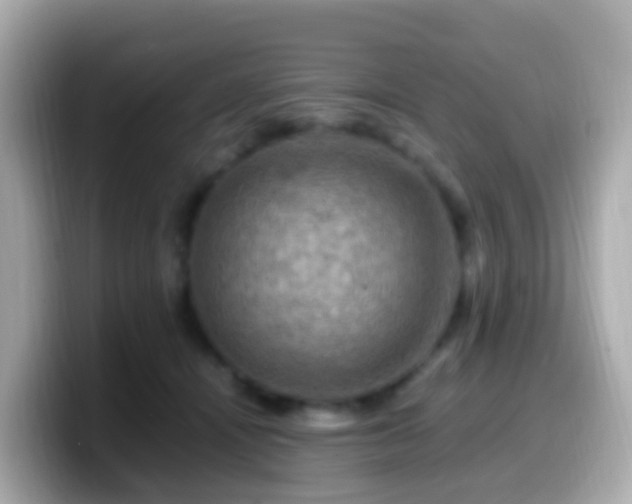 X0000099570464200805231535