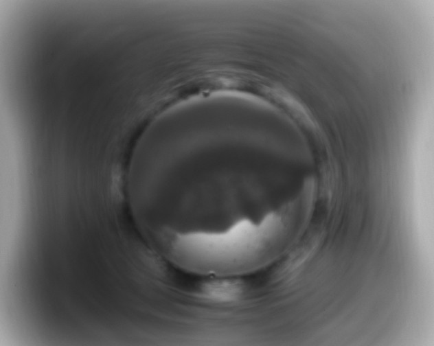 X0000099570465200805231535