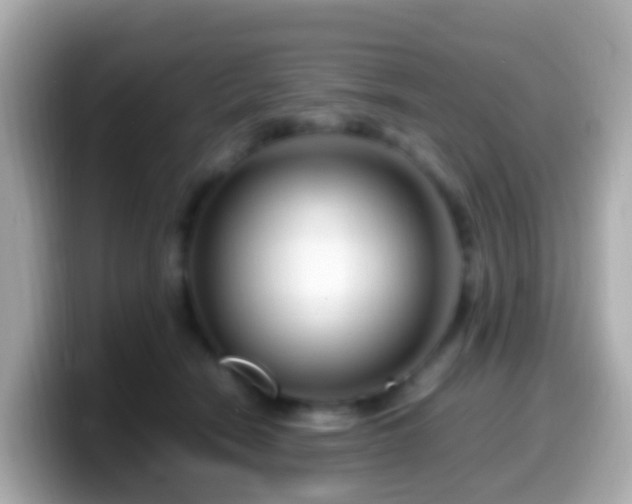 X0000099570466200805231535