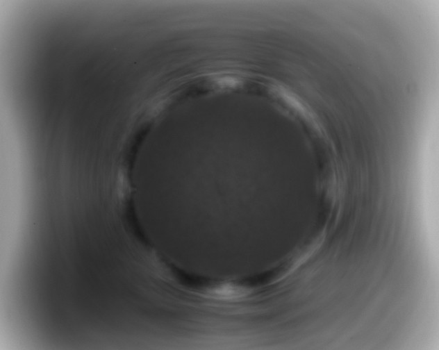 X0000099570467200805231535