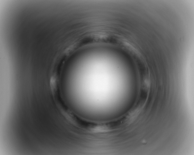 X0000099570468200805231535