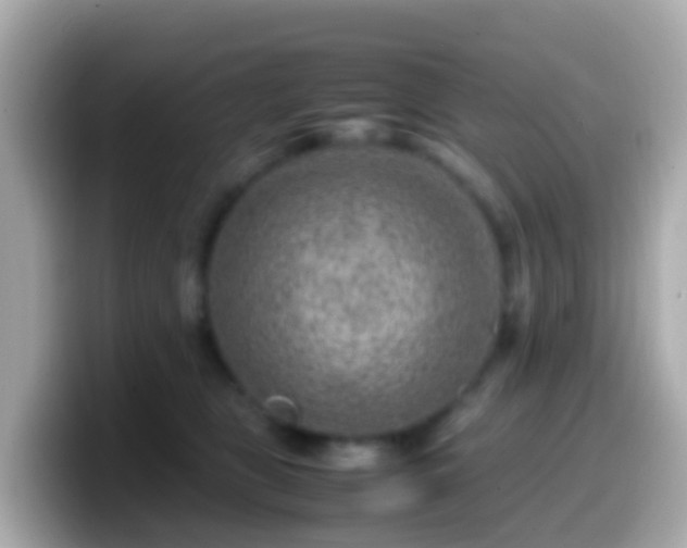 X0000099570469200805231535