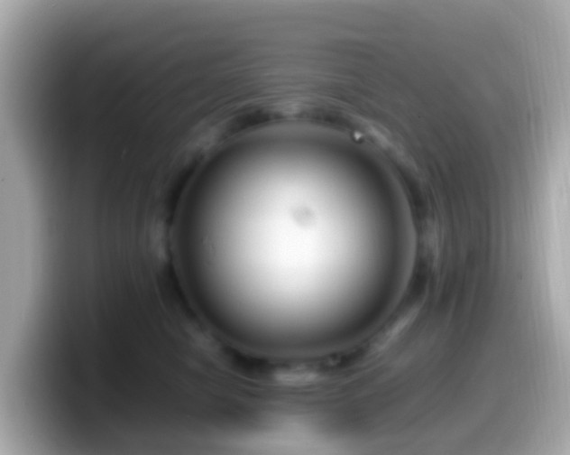 X0000099570470200805231535