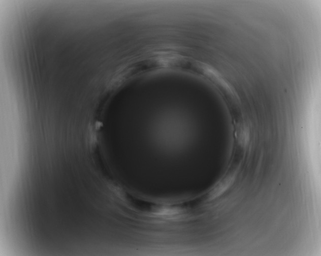 X0000099570471200805231535