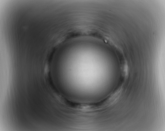 X0000099570472200805231535