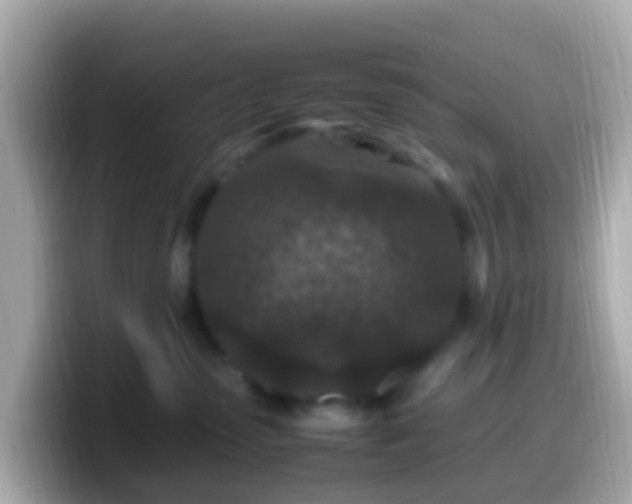 X0000099570475200805231535
