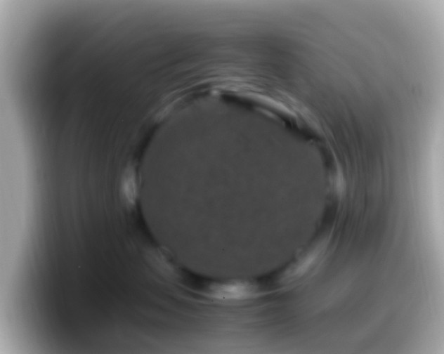X0000099570479200805231535