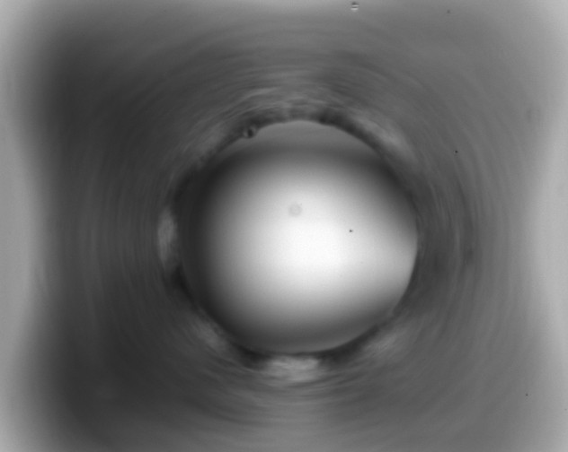X0000099570480200805231535