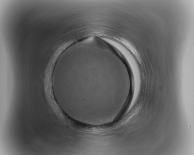 X0000099570481200805231534