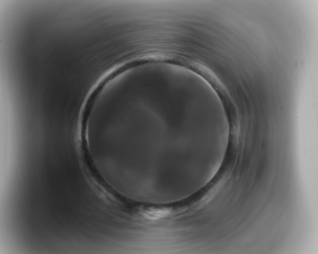 X0000099570484200805231534