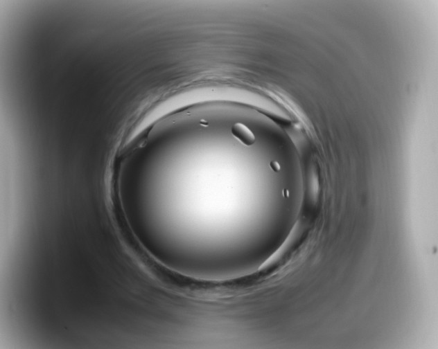 X0000099570485200805231534