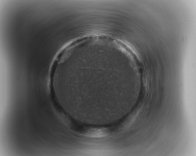 X0000099570488200805231534