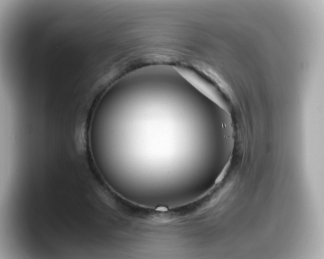 X0000099570489200805231534