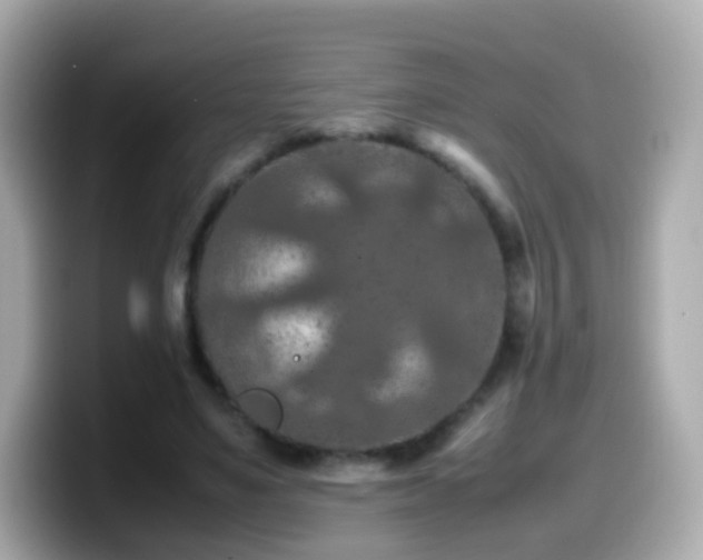 X0000099570491200805231534