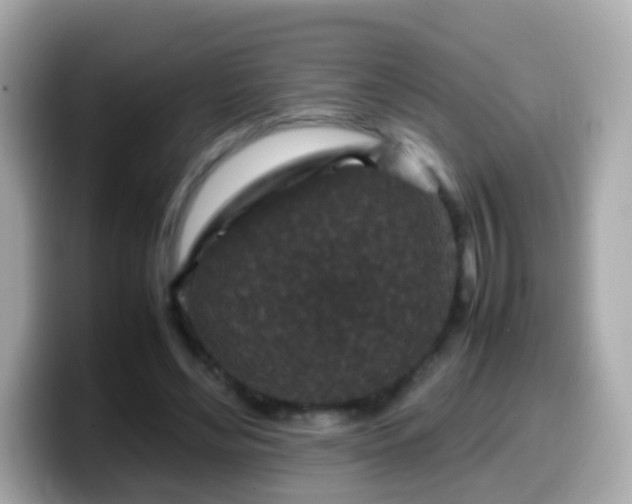 X0000099570492200805231534