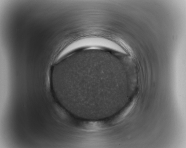 X0000099570493200805231534