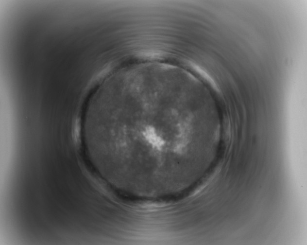 X0000099570494200805231534
