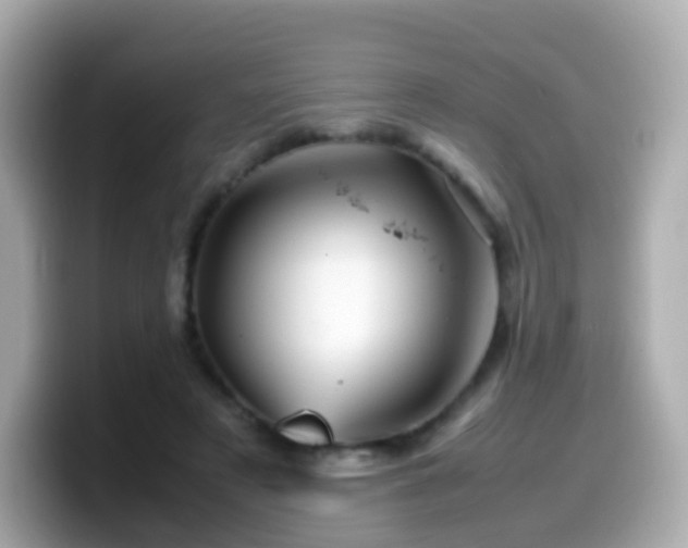 X0000099570497200805231534