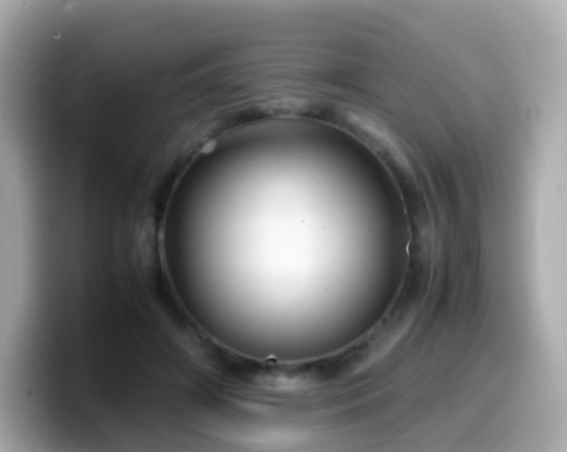 X0000099570498200805231534