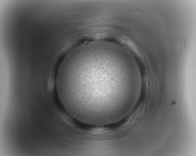X0000099570499200805231534
