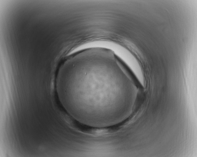 X0000099570501200805231534
