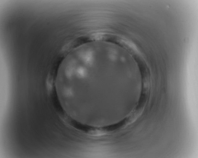 X0000099570503200805231534