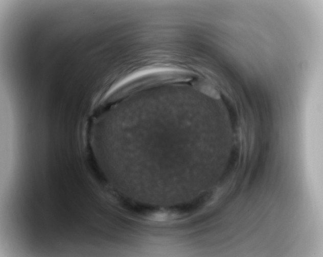 X0000099570504200805231534