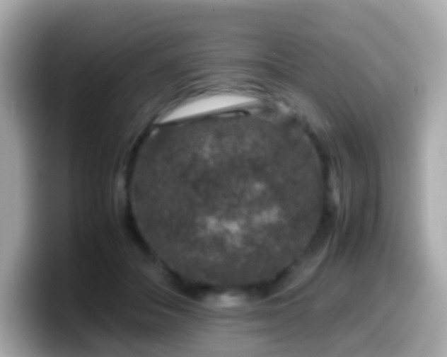 X0000099570506200805231534