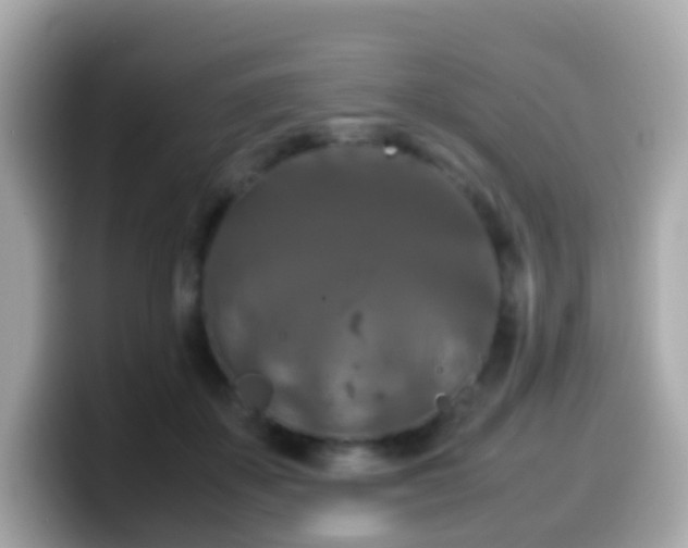 X0000099570507200805231534