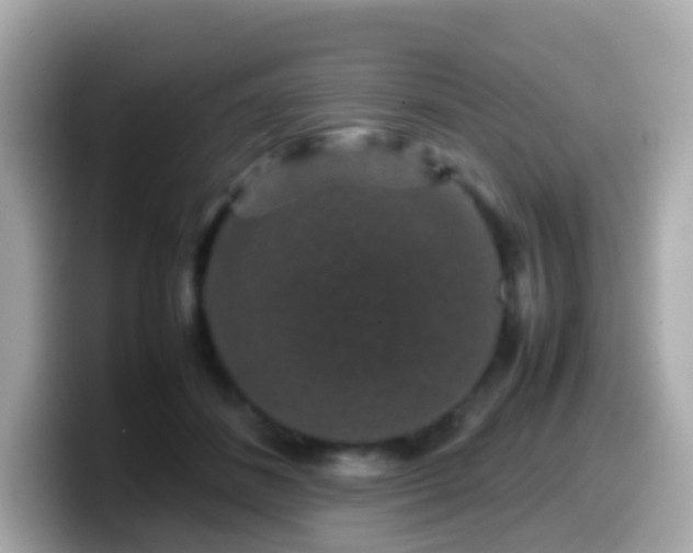 X0000099570508200805231534